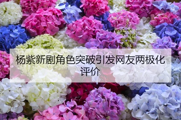 杨紫新剧角色突破引发网友两极化评价